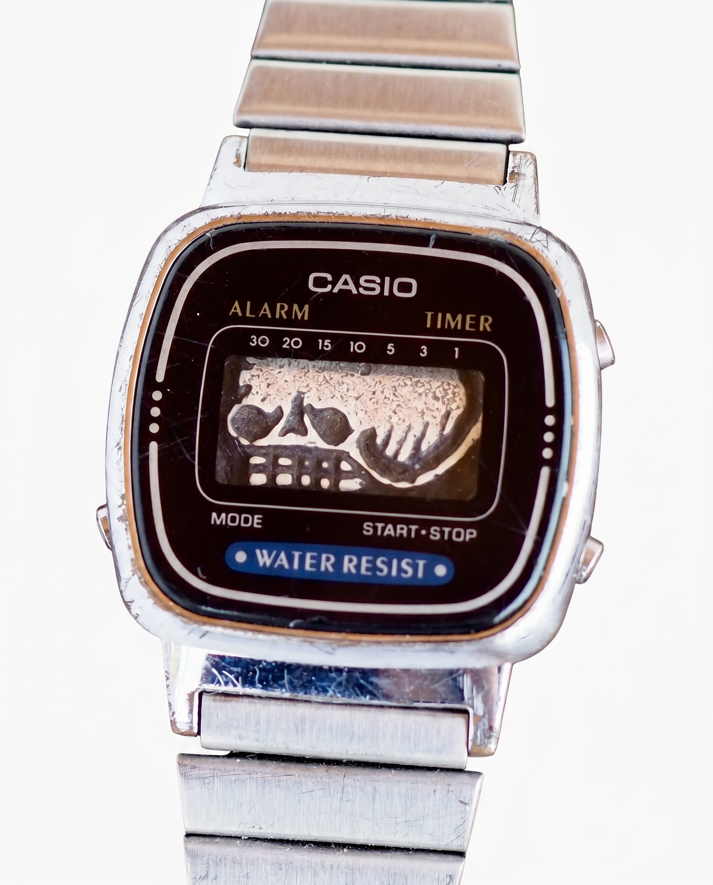 Tempus Fugit Watch