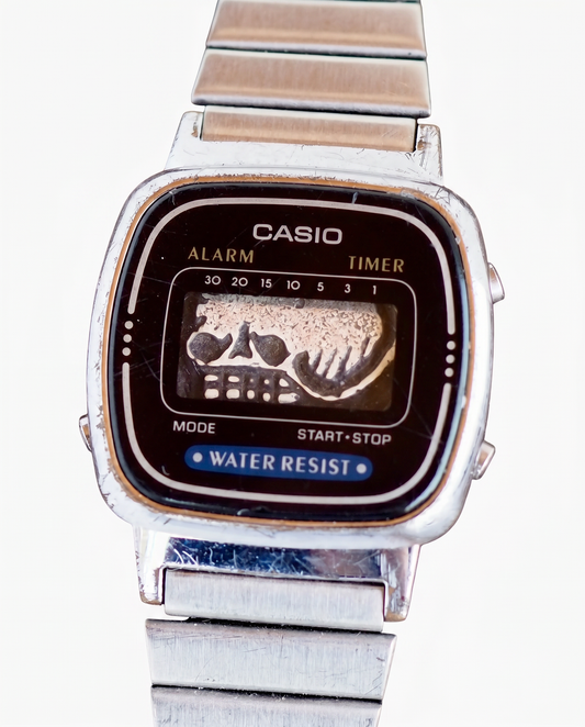 Tempus Fugit Watch