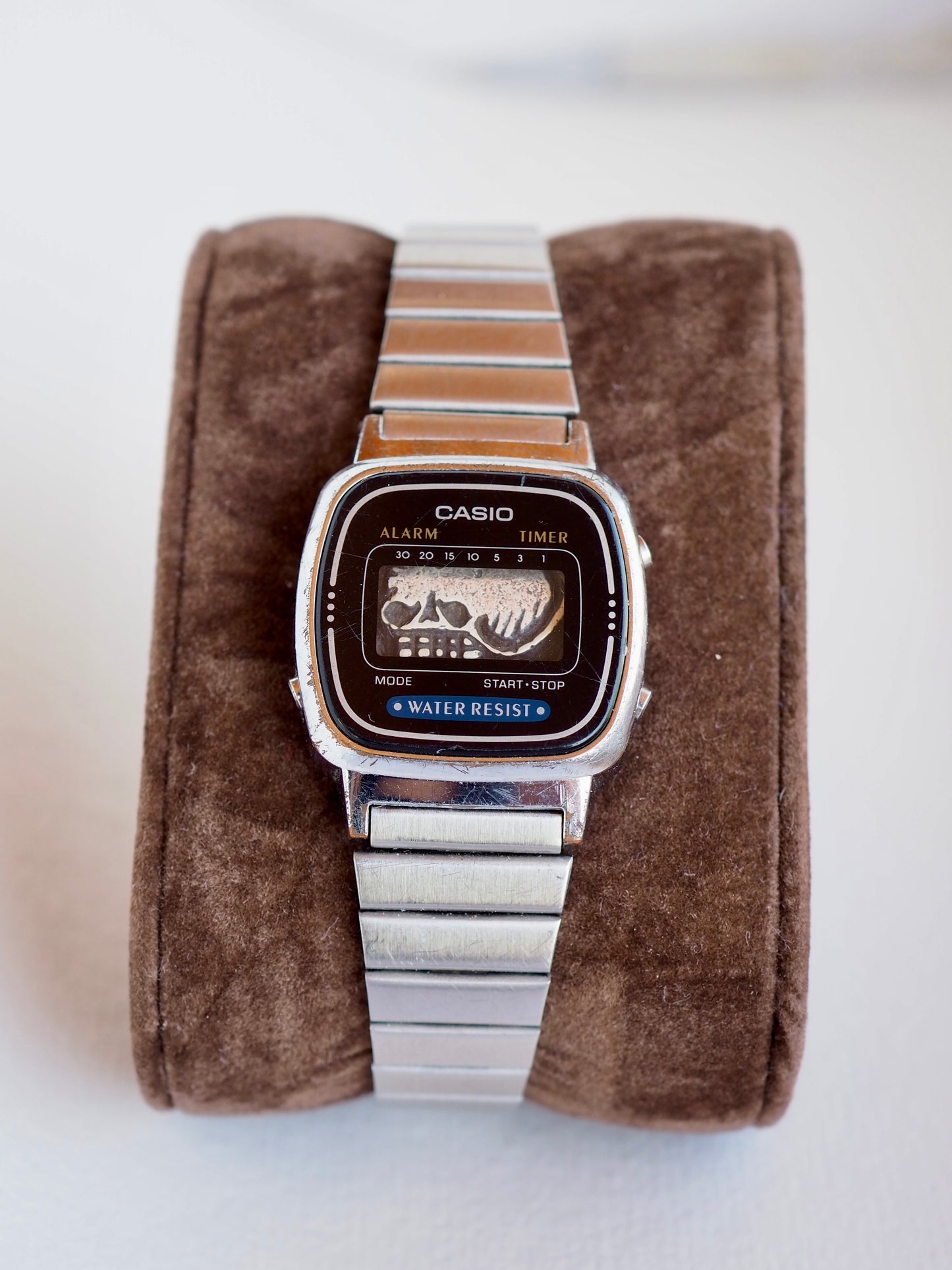 Tempus Fugit Watch